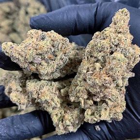 Where to Buy Weed Online In Perth Buy Cannabis Online In Perth. This strain offers fruity and citrus flavors with spicy hints of coffee and kush.